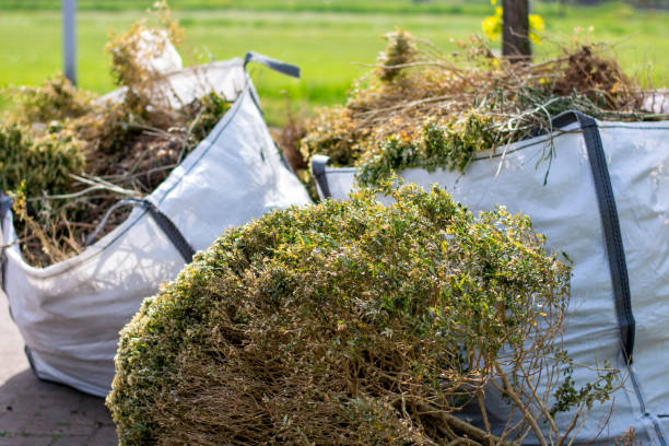 Best Same-Day Junk Removal  in Arlington, VA